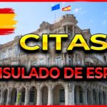 Servicios consulares del Consulado de Cuba en Santiago todo lo que necesitas saber