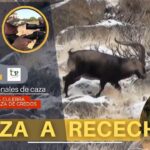 Servicios de hospedaje y aventura en el cobijo de Gredos