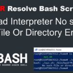 Solución para el error 'usr bin env bash r no such file or directory'
