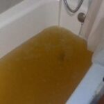 Solucionar bote sifónico baño guía rápida y efectiva