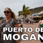 Taxi desde Playa del Inglés a Puerto de Mogán Guía rápida