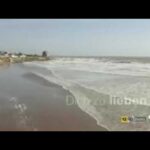 Te amaré toda la vida ¿Cómo verla completa en español?