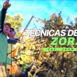 Técnicas para mejorar el adelanto en tiro de caza con escopeta