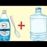 Técnicas para secar plantas de forma discreta en casa
