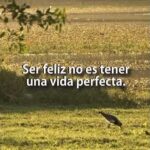 ¿Tener una vida perfecta te garantiza la felicidad? Descubre por qué no es así
