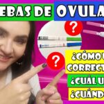 Test de ovulación ¿Por qué cambia el resultado de un día para otro?