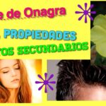 Tiempo de acción del aceite de onagra ¿Cuándo notarás resultados?