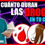 Tiempo de espera de la ciruela pasa para efecto guía completa