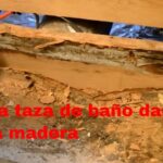Tiempo de reparación de parquet por daños de agua guía práctica