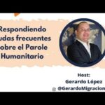 Tiempo estimado para recibir respuesta de denuncia por insultos