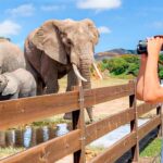 Tiempo ideal para visitar Cabárceno consejos y recomendaciones