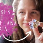 Tocados elegantes con flores de porcelana fría