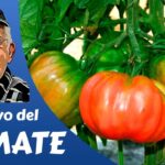 Ubicación Av de los Labradores 9 en Tres Cantos, Madrid Guía práctica