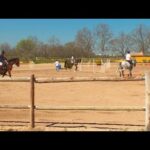 Venta de Finca en La Rubia, ¡No te pierdas esta oportunidad!