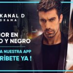 Ver 'Amor en blanco y negro' con subtítulos en español Guía práctica