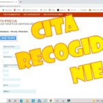 Verifica el estado de tu NIE para recogerlo fácilmente