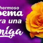 Versos de amistad eterna: Un poema para mi mejor amiga