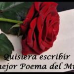 Versos que celebran tu belleza y encanto irresistibles